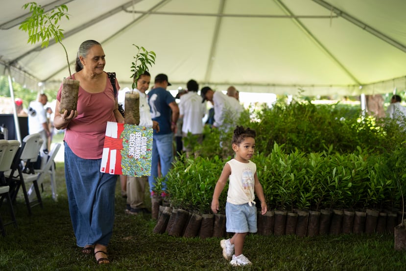 Environ 2 000 personnes se sont inscrites pour participer ce samedi à La Siembra.
