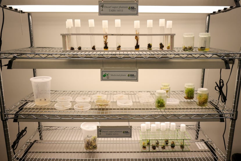 Negrón Berríos a souligné que ce laboratoire agricole environnemental est le premier à Porto Rico.  