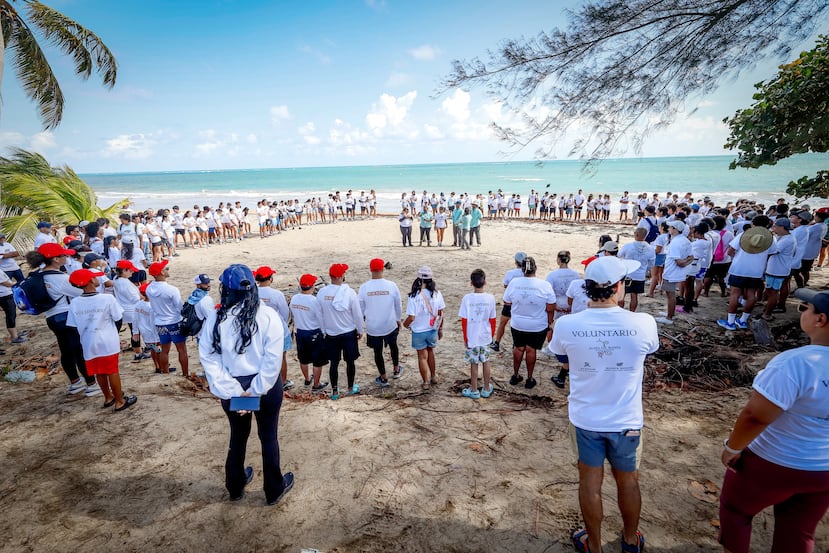 Outre la conservation et l'éducation environnementale, la fondation fait du travail communautaire et du sauvetage des animaux.