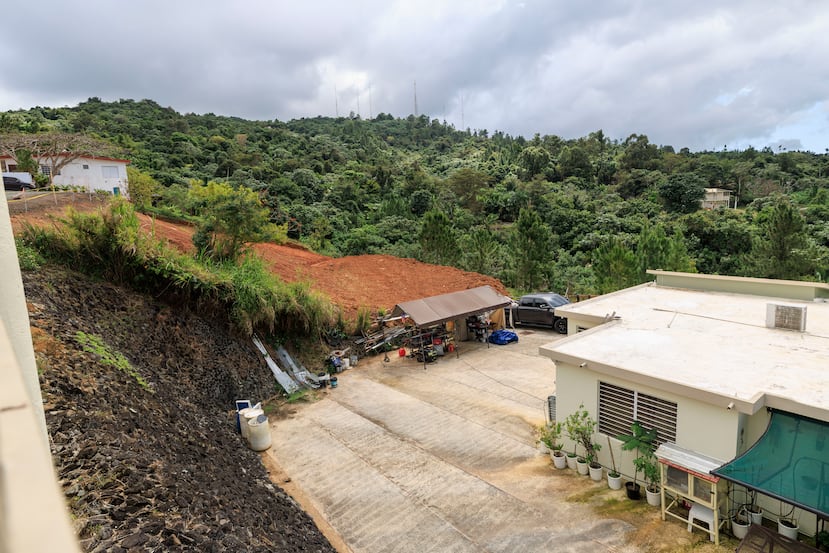 Préliminairement, comme pour le cas qui a conduit au DRNA vers les canobanas, l'OGPE n'a trouvé que l'élimination de la couche de plantes.