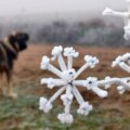 De 30 ºC à la neige et au gel : il y a déjà une date pour l'effondrement des températures en Espagne