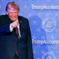 Quelles sont les options d’investissement pour les comptes Trump ?