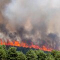 Incendie dans la Sierra Norte de Guadalajara, en direct : l'incendie reste incontrôlé et est déjà le plus important de Castilla-La Mancha avec 26 000 hectares détruits