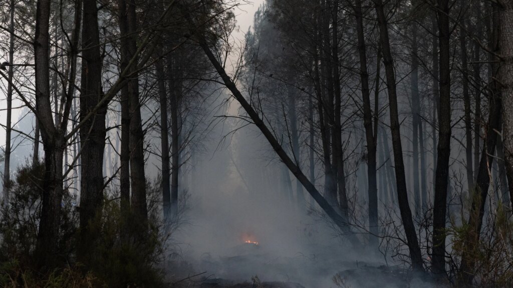 Incendie de forêt en Castille-et-León, en direct : dernière minute de l'incendie à Ávila
