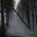 Incendie de forêt en Castille-et-León, en direct : dernière minute de l'incendie à Ávila