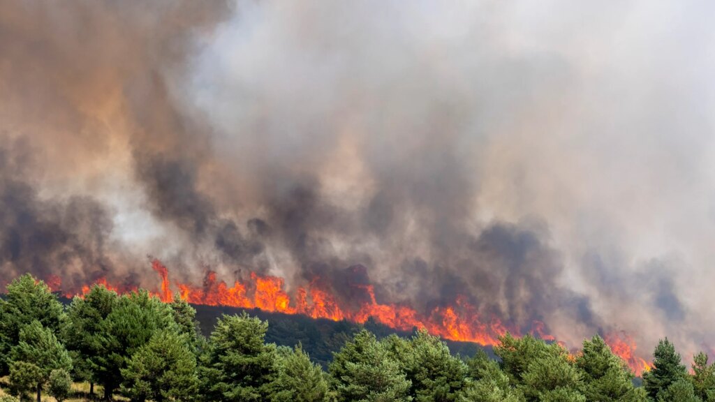 L'incendie de Guadalajara peut-il atteindre Soria ?