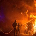 Tomás Omil, pompier forestier, prévient de ce à quoi s'attendre en août avec les incendies : « Ça s'annonce mauvais, cette année nous allons paniquer »