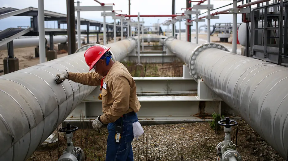 Travailleur à la Réserve Stratégique de Pétrole