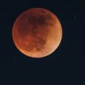 Éclipse lunaire du 28 août, en direct : horaires, où la voir et dernières nouvelles d'Espagne