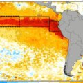 « Intensité extrême » : la Chine met en garde contre un El Niño qui dépasse déjà les épisodes historiques de 1997 et 2015