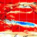 « Le pire est à venir » : malgré les canicules estivales extrêmes, l'OMM alerte sur le véritable impact d'El Niño