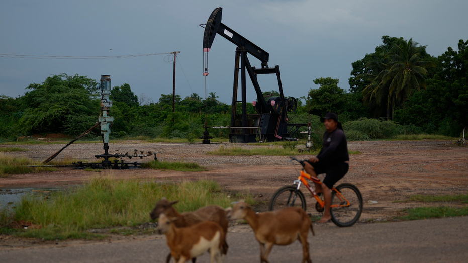 Cric pétrolier vénézuélien