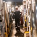 Une usine sidérurgique historique de 15 milliards de dollars dans l'Iowa signale que la stratégie tarifaire de Trump prend forme, selon un leader de l'industrie
