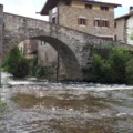 En 1097, Pierre Ier fit don de cette ville de Navarre à Pampelune : 929 ans plus tard, les habitants continuent d'emmener leurs animaux sur son célèbre pont pour les soigner.