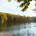 En 2001, un couple a acheté un tableau de paysage pour 200 $ ; Six ans plus tard, l’œuvre était adjugée 402 500 $.
