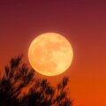 Lune des récoltes 2026 en Espagne : quand la voir et pourquoi elle peut paraître plus grande lorsqu'elle se lève
