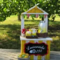 Il a ouvert un stand de limonade à l'âge de 6 ans pour collecter des fonds pour des œuvres caritatives ; Sept ans plus tard, elle et sa sœur avaient récolté 55 000 $.